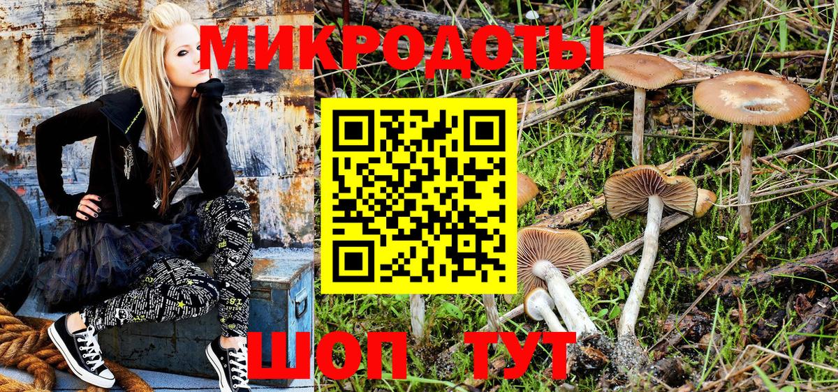 Галлюциногенные грибы прущие грибы Кувандык